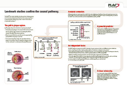 Scarica brochure in pdf con lo studio completo